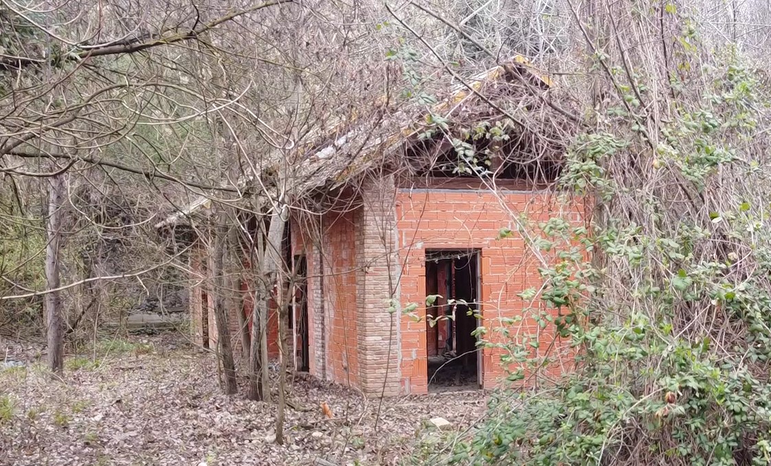 Foto 5